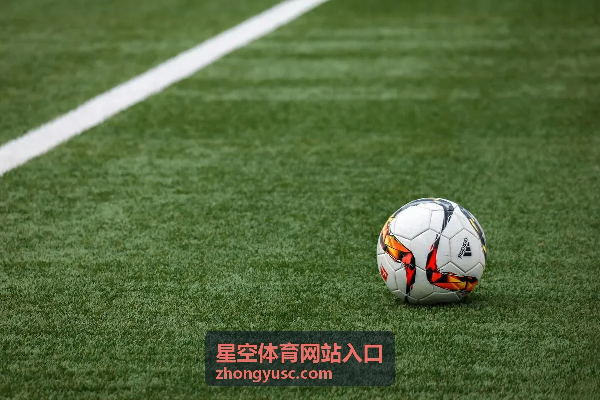 星空体育网站入口频道结构示意配图